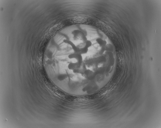 X0000070360745200606301830