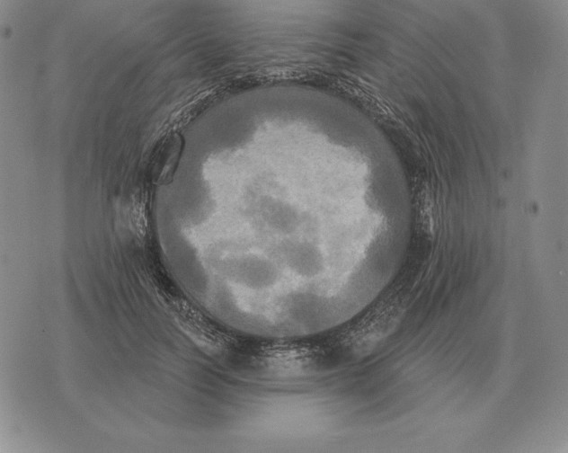 X0000070360746200606301830