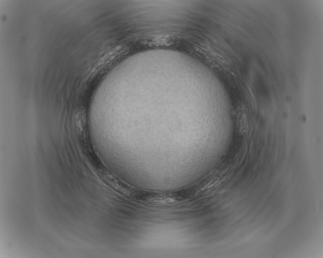 X0000070360747200606301830