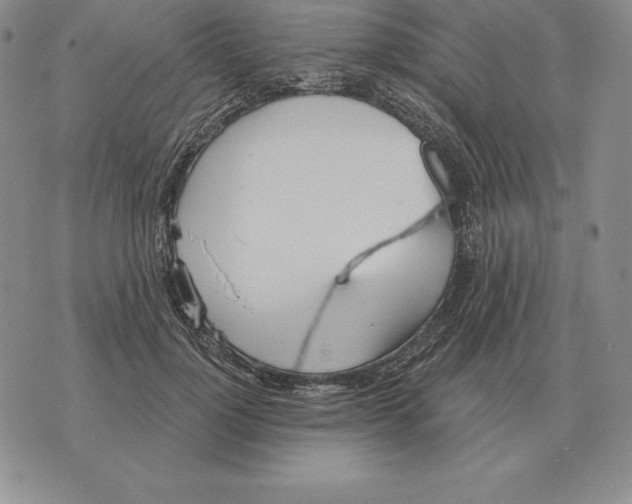 X0000070360748200606301830