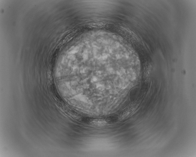 X0000070360749200606301830