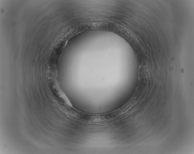 X0000070360750200606301830