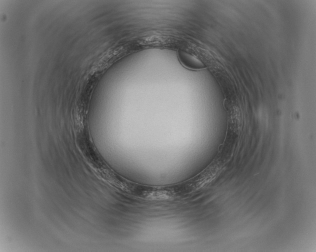 X0000070360751200606301830