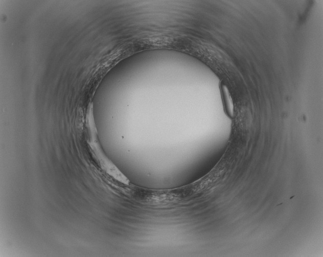 X0000070360752200606301830