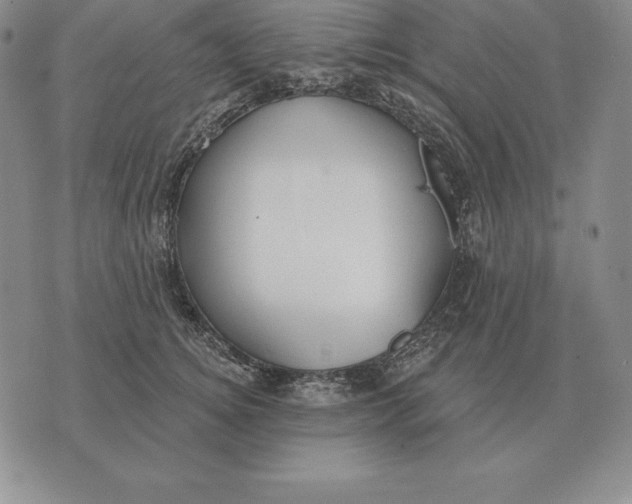 X0000070360756200606301830