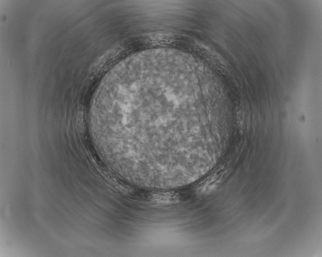 X0000070360757200606301830