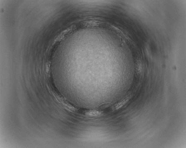 X0000070360759200606301830