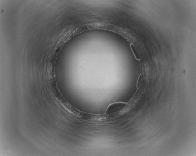 X0000070360760200606301830