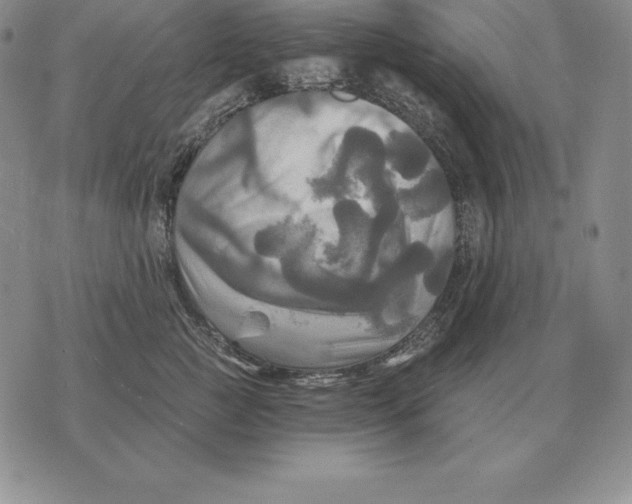 X0000070360761200606301830