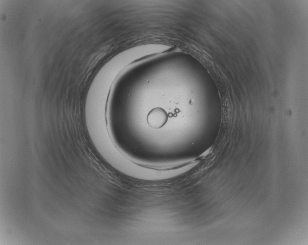 X0000070360762200606301830