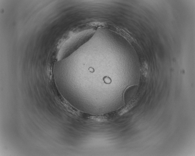 X0000070360763200606301830