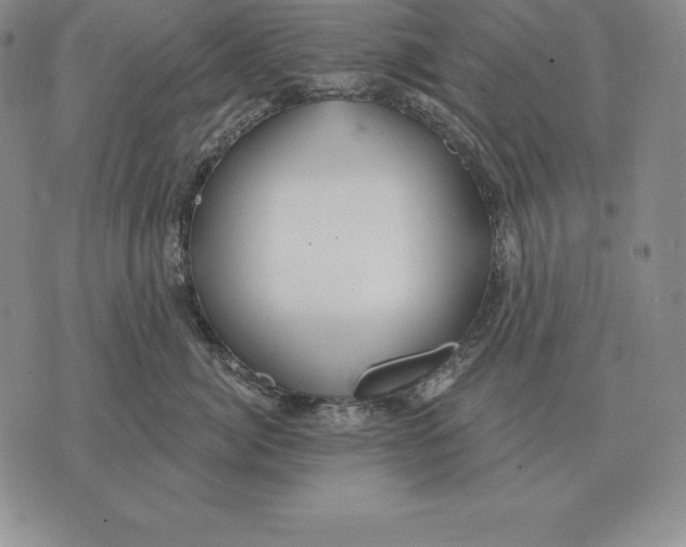 X0000070360764200606301830