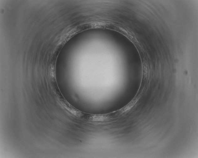 X0000070360766200606301831