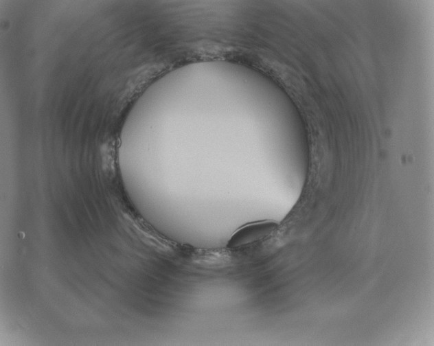 X0000070360768200606301831