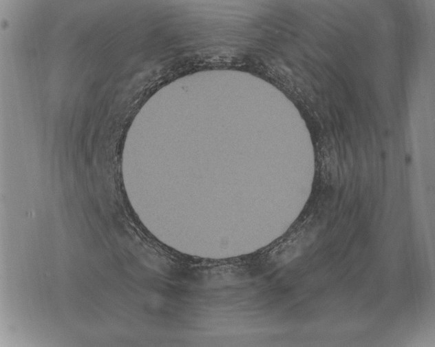 X0000070360769200606301830