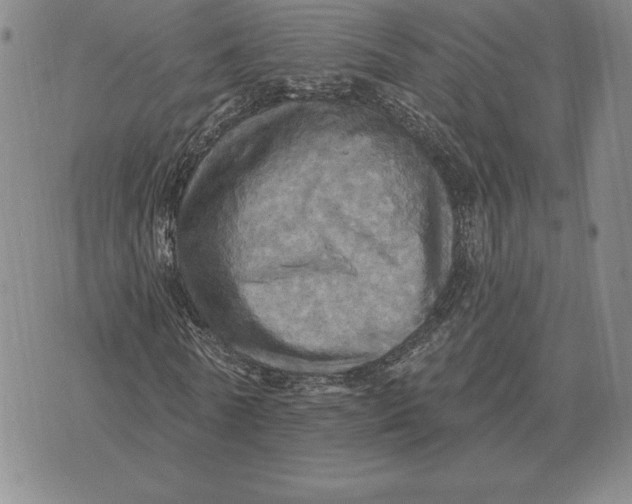 X0000070360770200606301830