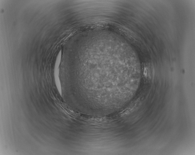 X0000070360771200606301830