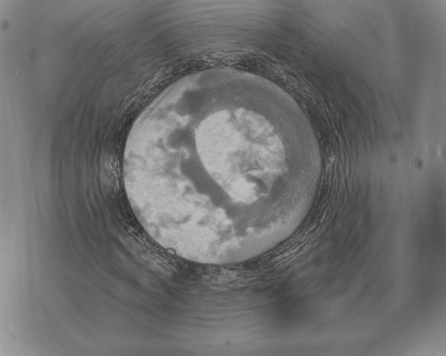 X0000070360772200606301830