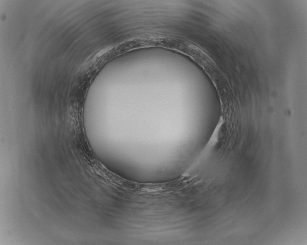 X0000070360773200606301830