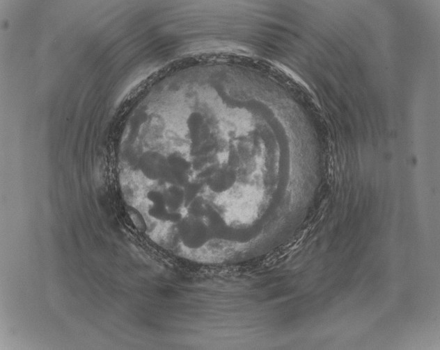 X0000070360775200606301830