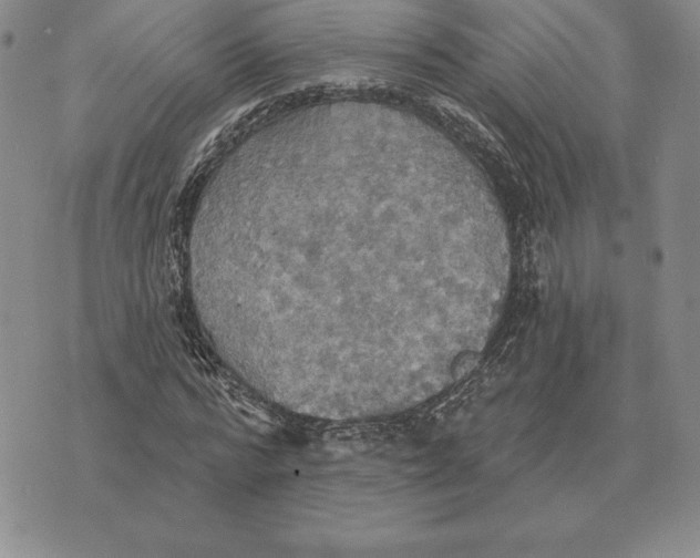 X0000070360776200606301830