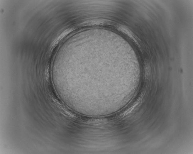 X0000070360778200606301830