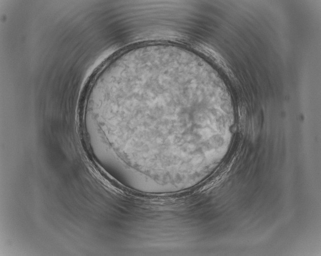 X0000070360780200606301830