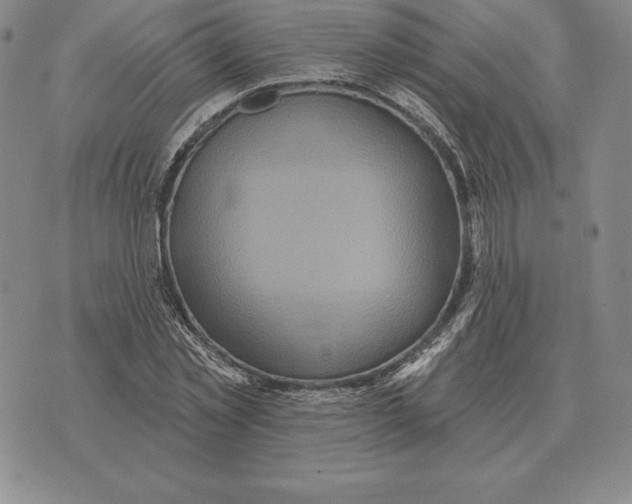 X0000070360781200606301830