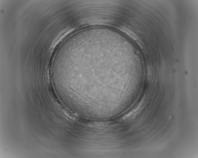 X0000070360782200606301830