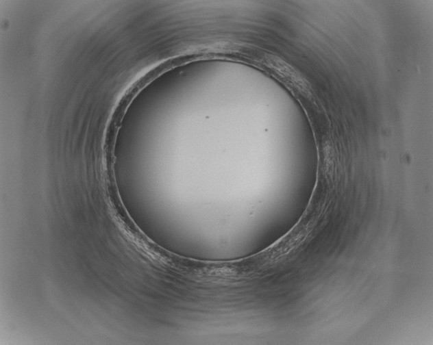 X0000070360784200606301830