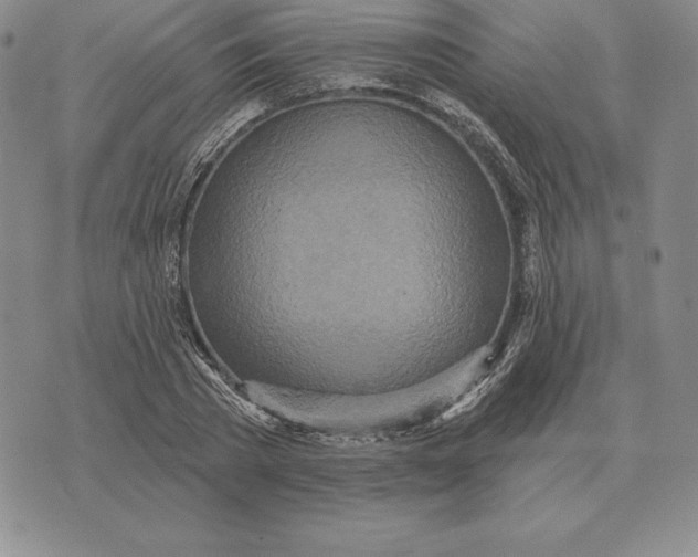 X0000070360785200606301829