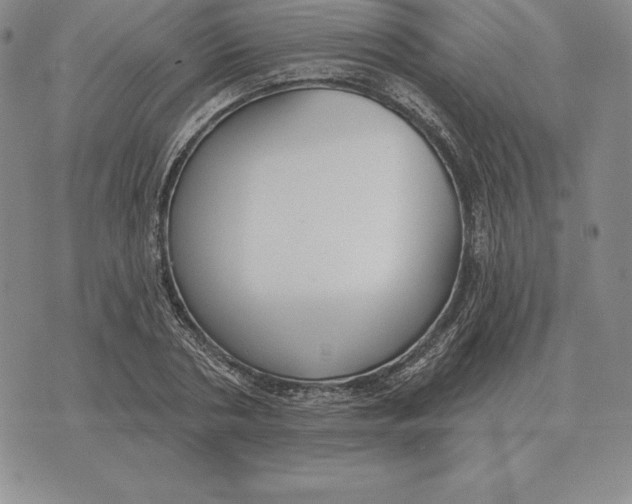 X0000070360786200606301829