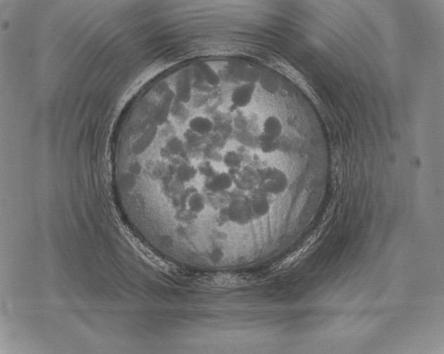 X0000070360787200606301829