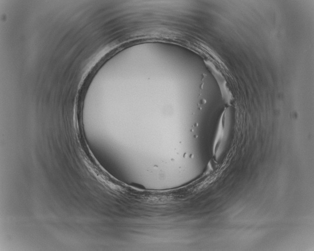 X0000070360788200606301829