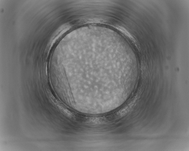 X0000070360790200606301829