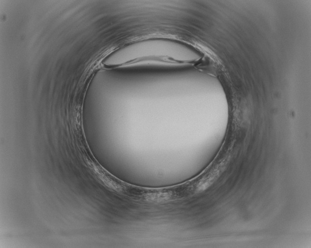 X0000070360793200606301829