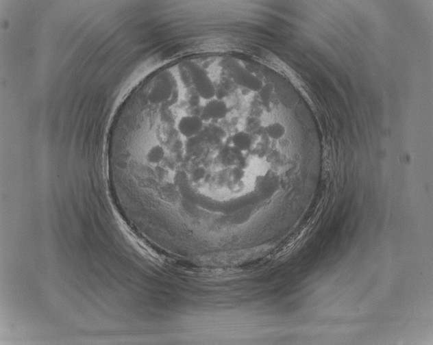 X0000070360795200606301829