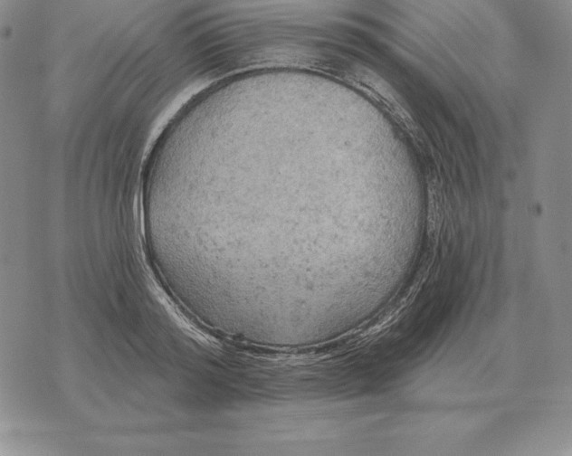 X0000070360796200606301829