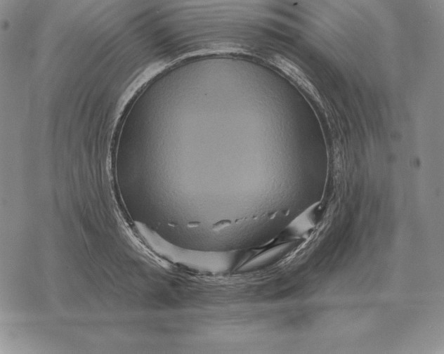 X0000070360797200606301829