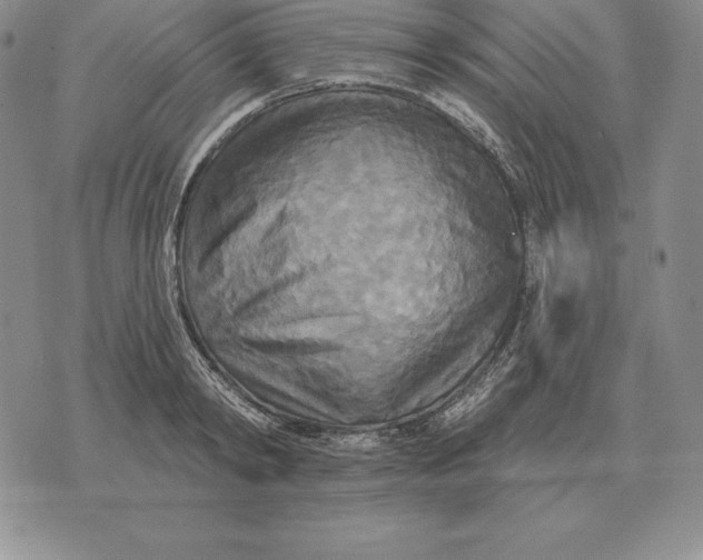 X0000070360798200606301829