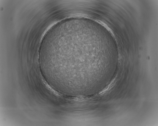 X0000070360799200606301829