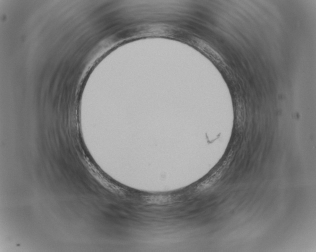 X0000070360800200606301829