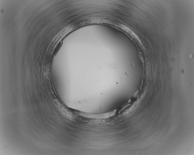 X0000070360801200606301829