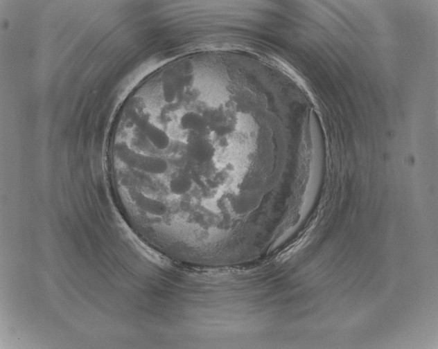 X0000070360803200606301829