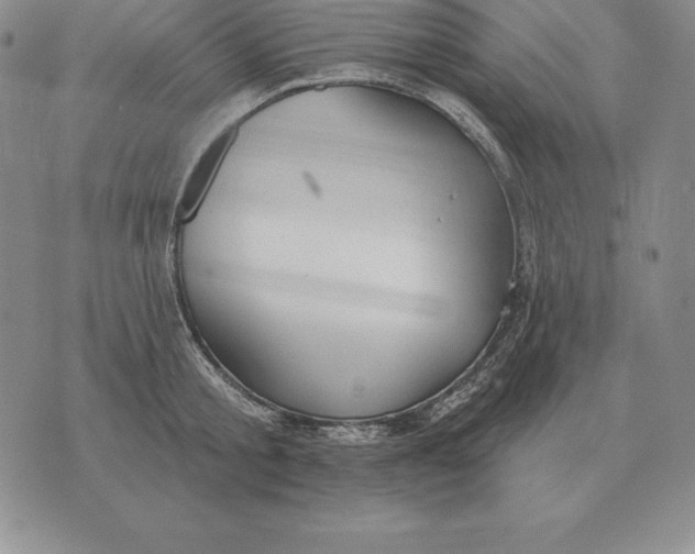 X0000070360805200606301829