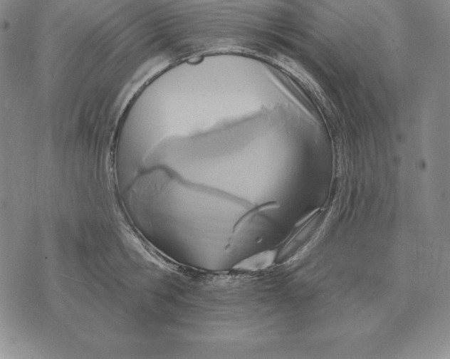 X0000070360806200606301829