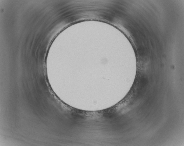 X0000070360807200606301829