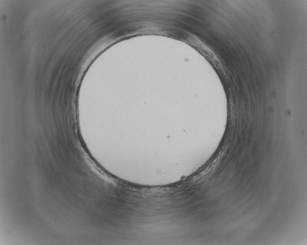 X0000070360808200606301829