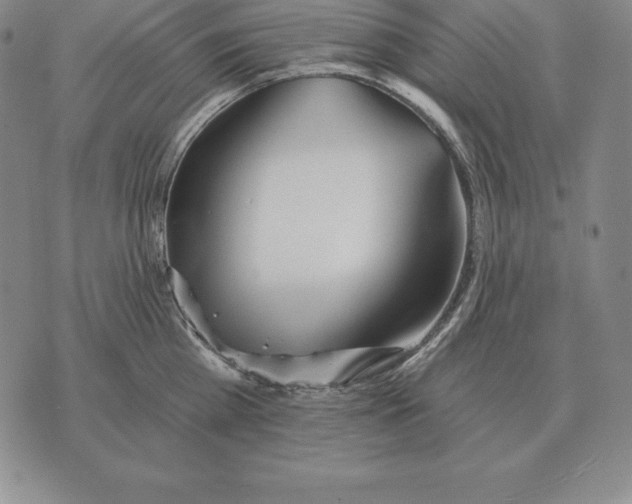 X0000070360809200606301829