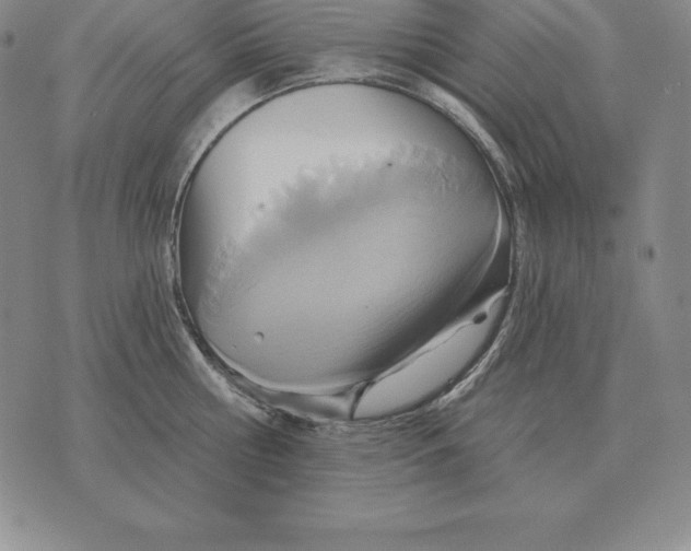 X0000070360810200606301829